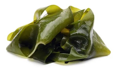Ламинария