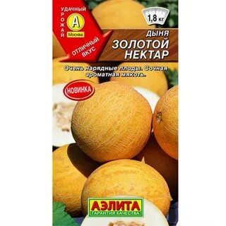 Дыня золотистая