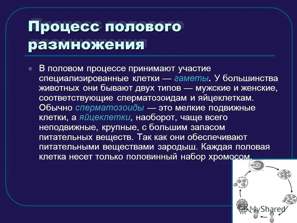 Жизнь на земле происходит благодаря размножению организмов