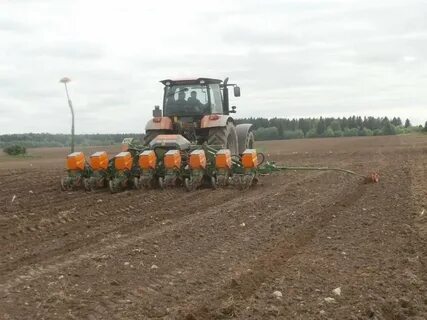Амазоне д9 60