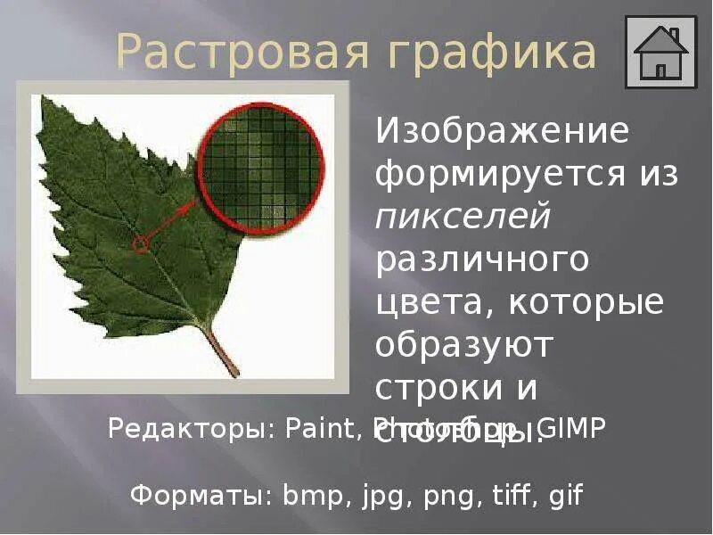 Растровое и векторное изображение. Растровая Графика. Изображение растровой графики. Примеры растровой графики. Растровая Графика картинки.