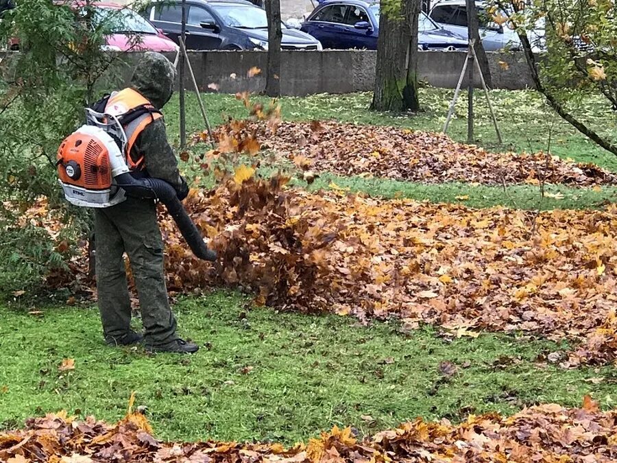 Нужно ли убирать листву. Уборка листьев. Уборка листьев в саду. Уборка листьев с газона. Сбор листьев.