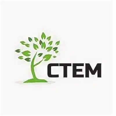 Логотип стем образования. Слово стема. Стем образование. Стем математика. Логотип стем образования.