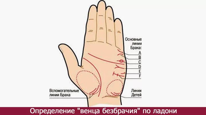 Хиромантия Датировка линии брака. Венец безбрачия хиромантия. Линия безбрачия на руке. Линия на руке венца безбрачия.