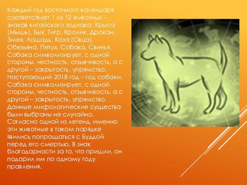 Какого знака зодиака 2018. 12 Животных восточного календаря. Восточный гороскоп собака. Какое животное символизирует 2018 год. 2018 Год год кого животного.