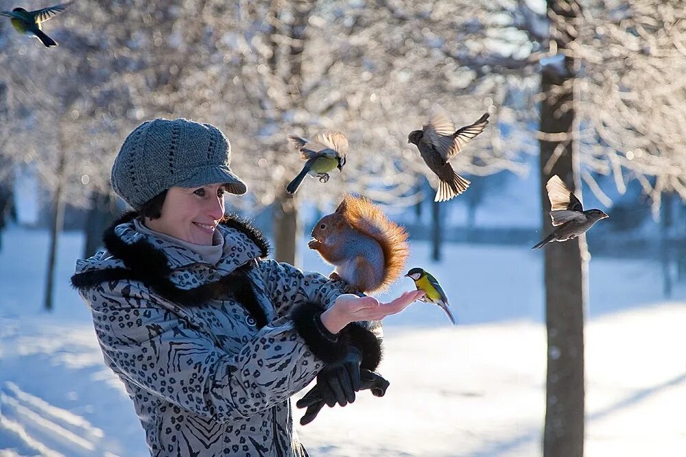 Зимой где сидели. Птицы в городе зимой. Кормление птиц зимой. Птицы в городе зима. Девочка и птица зимой.