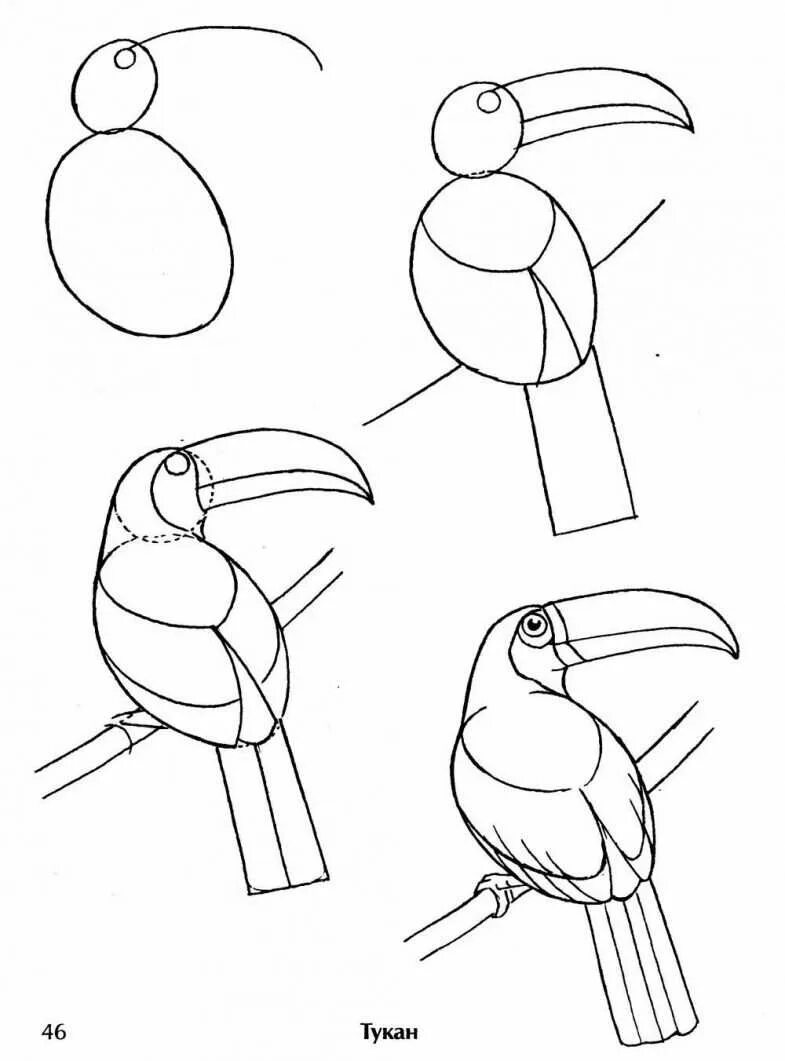 Рисунок птицы 5 класс. Уроки рисования птиц. Поэтапное рисование птиц. Птица рисунок карандашом для детей. Рисунки птиц карандашом для начинающих.
