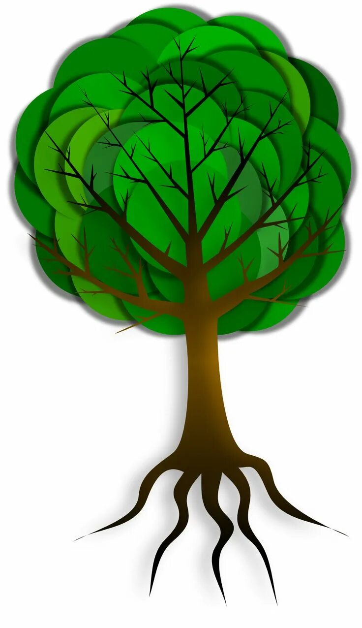 Baum und