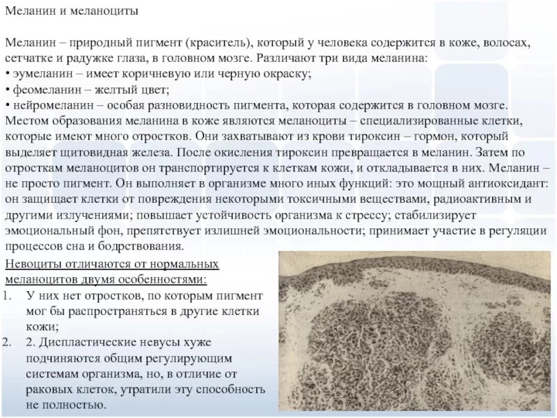 Какую функцию выполняет пигмент. Кожный пигмент меланин. пигмент меланин содержится в слое кожи. пигмент меланин вырабатывается клетками. функции меланина в коже человека.