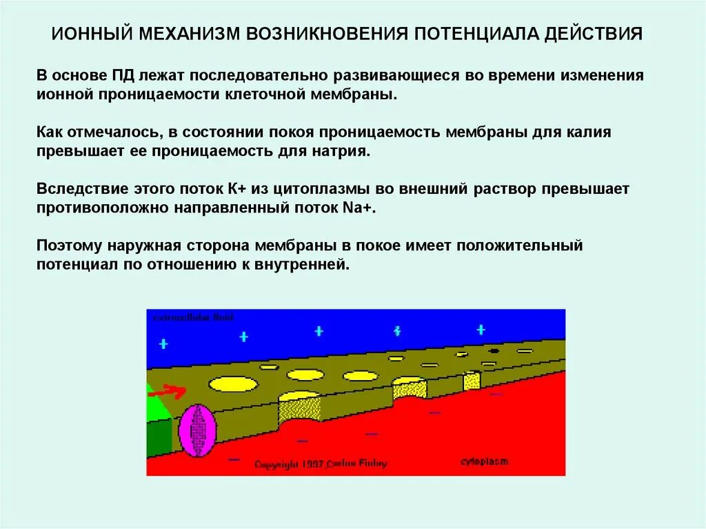 В основе представлений лежат
