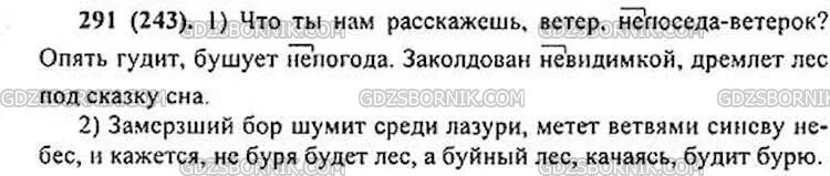 Опять гудит бушует. Русский язык 6 класс ладыженская 291. Русский язык шестой класс упражнение 291. Упражнение номер 291 русский язык 6 класс. Русский язык 6 класс 1 часть упражнение 291.