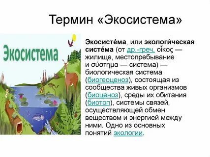 Биосистема экосистема