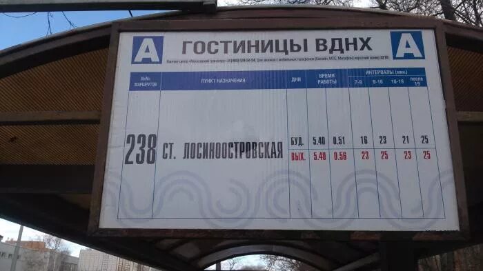 Автобусная остановка ВДНХ. ВДНХ остановка автобуса. Остановка ВДНХ Москва.