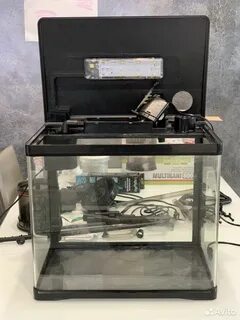 Аквариум prime
