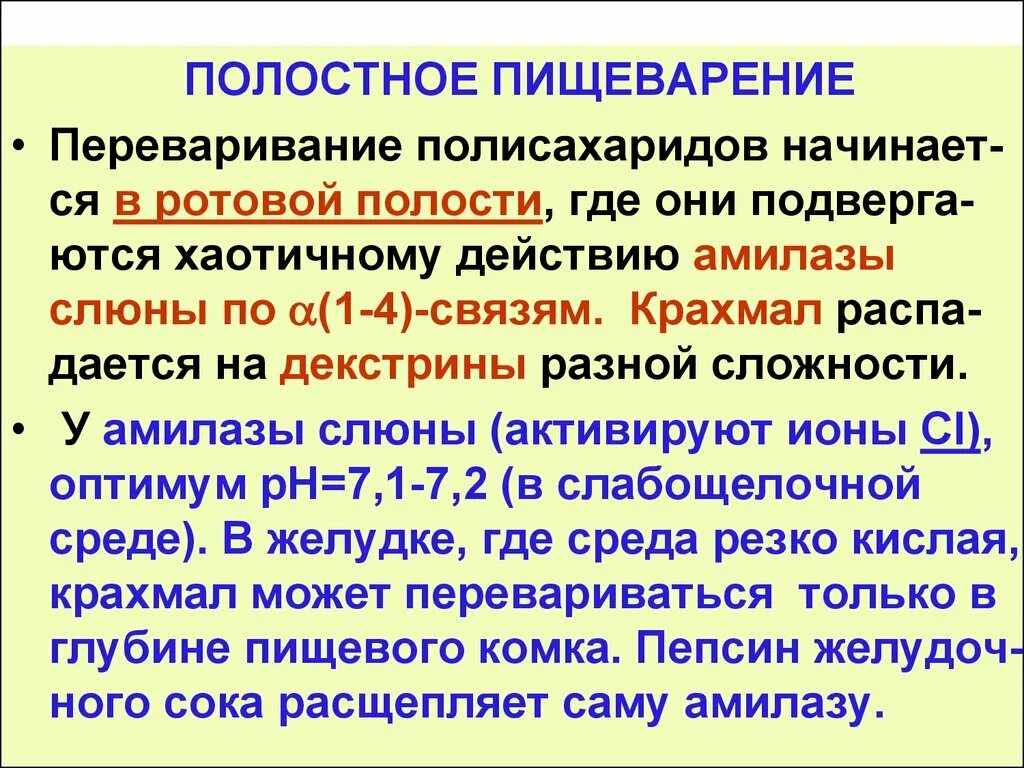 Крахмал начинает расщепляться в ротовой полости. Полостное переваривание углеводов. Переваривание полисахаридов. Переваривание углеводов в ротовой полости. Переваривание крахмала в ротовой полости.