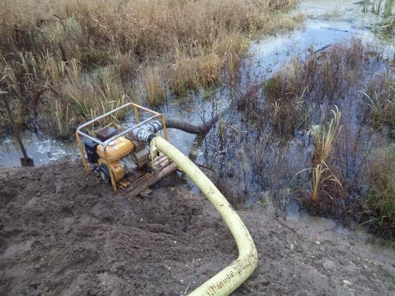 Какой газ на болоте