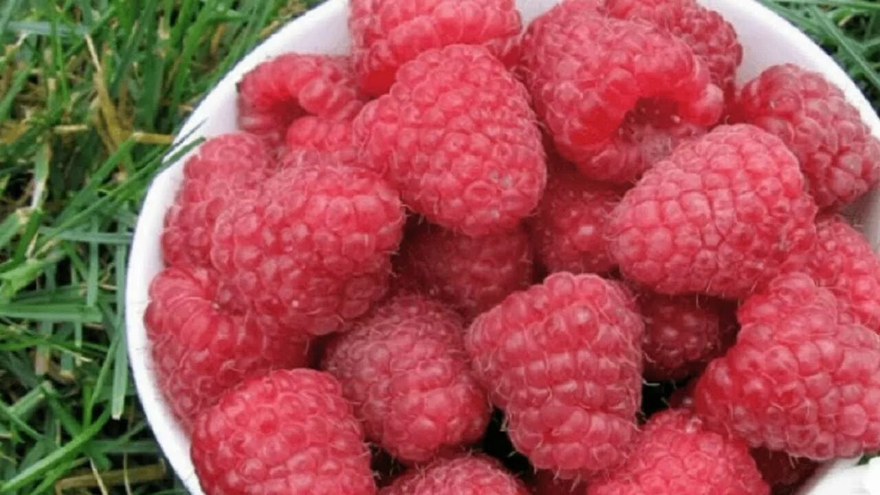 Малиновый день. Летние фрукты. Малина карамелька. Малина. Малиновый конфитюр.