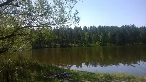 С белово алтайский край