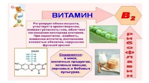 Буклет о витаминах