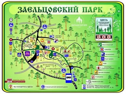 Как доехать до заельцовского парка