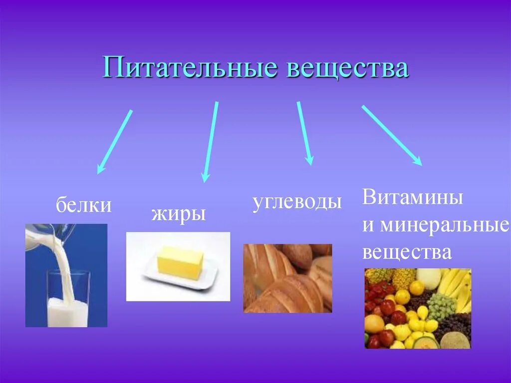 Пища человека белки жиры и углеводы. Белки жиры углеводы витамины минералы. Питательные вещества белки жиры углеводы витамины. Белки жиры углеводы витамины Минеральные вещества. Пища и питательные вещества.