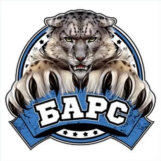 Барс реквизиты