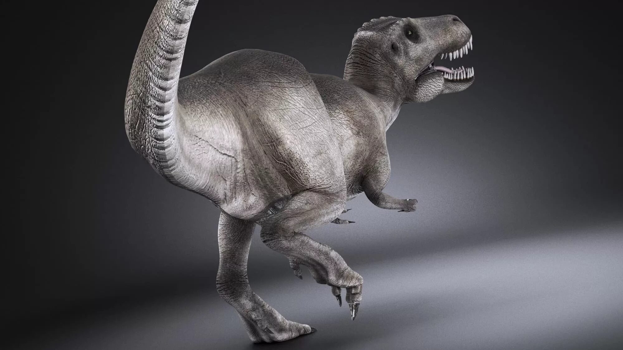 Tyrannosaurus Rex. Tiranozavr Rex 3d. Парк Юрского периода 3 Тираннозавр. Сборная модель Revell Dinosaurs Tyrannosaurus Rex (06470) 1:13.