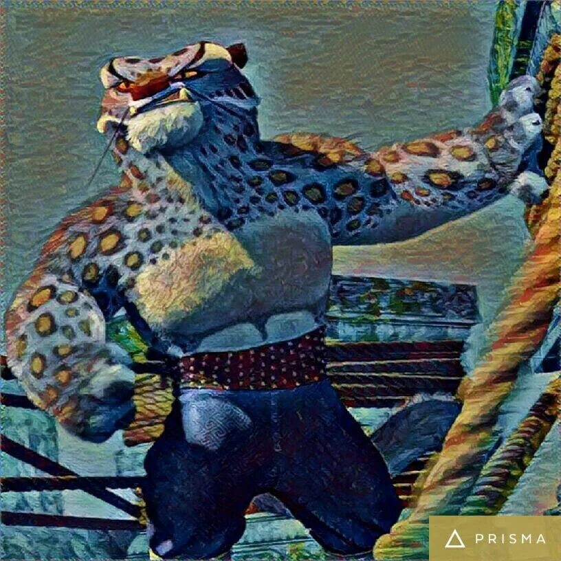 Tai lung kung fu