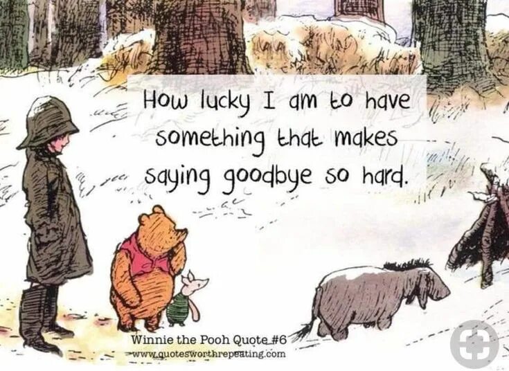 Winnie Goodbye. Winnie the Pooh sayings. Bye Bye Winnie the Pooh. Winnie the Pooh says something. Have something left