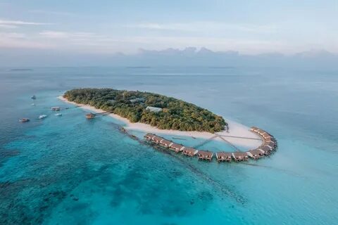 Reethi beach отзывы