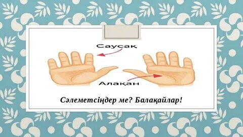 Көп қыздармен порно көру