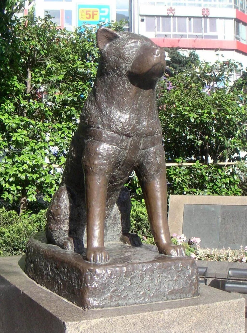 Памятник собаке хатико в японии. Хатико 1934. Память хатико город. Статуя хатико у станции сибуя. Хатико на аву.