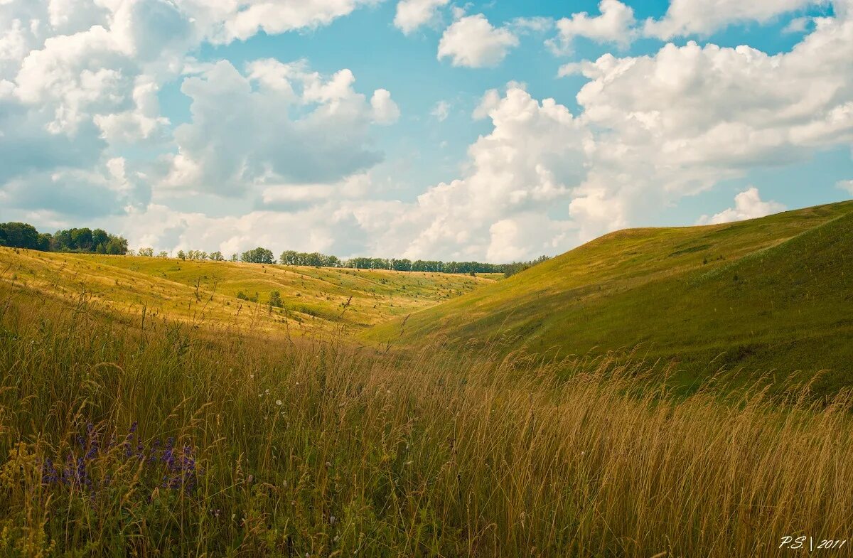 балка лощина. овраги, балки, ложбины. ложбина фото. лощины балки. овражно-балочный рельеф белгородской области.