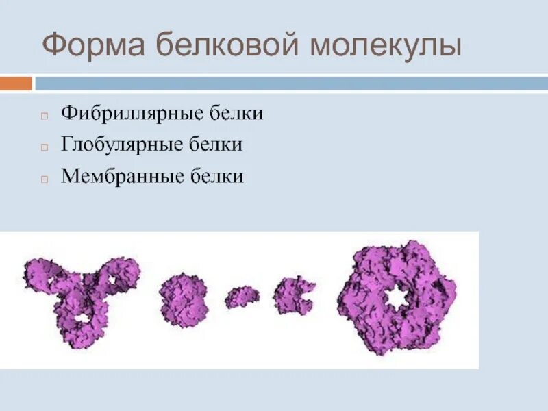 Формы белковых молекул. Классификация белков фибриллярные и глобулярные. Классификация белков по форме белковой молекулы. Глобулярные и фибриллярные белки по форме. Строение фибриллярных и глобулярных белков.