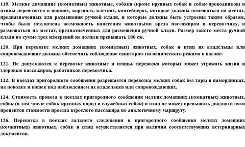 Какие документы нужны кошке для поезда