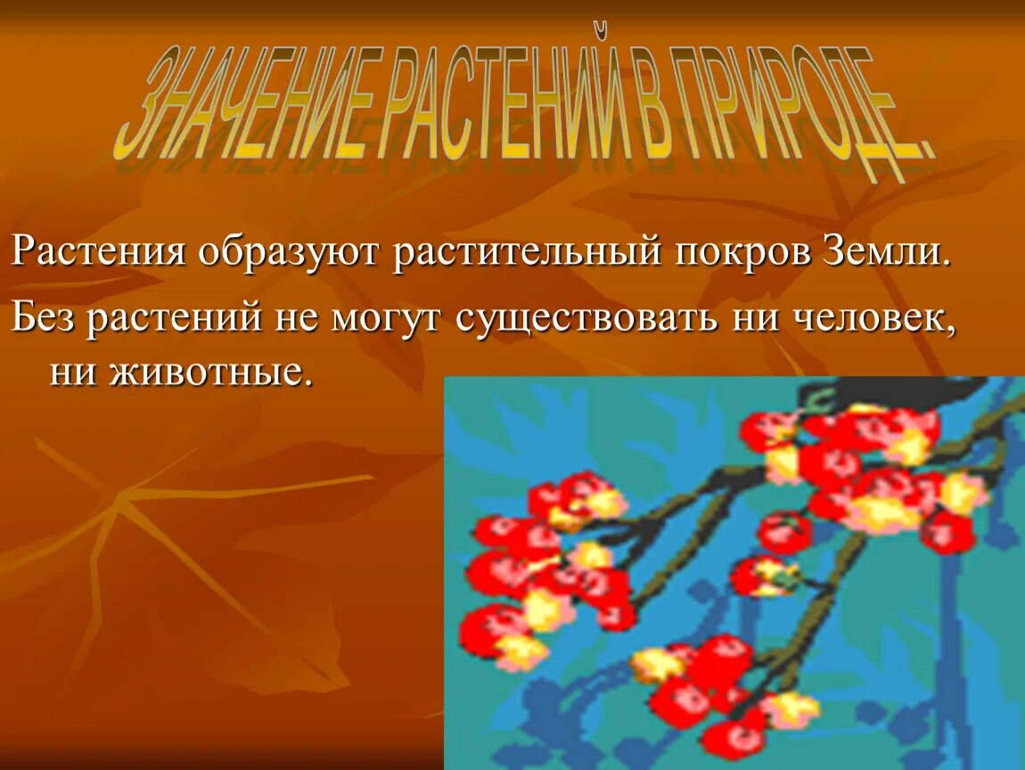 Без растений не могут жить. Земля если не было растений. Растение без. Если бы на земле не было растений. Растения не могут существовать без.