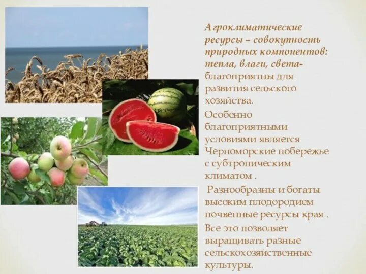 Агроклиматические природные ресурсы. Агроклиматические условия пшеницы. Агроклиматические ресурсы. Ресурсы сельского хозяйства. Агроклиматические условия не способствуют развитию сельского хозяйства.