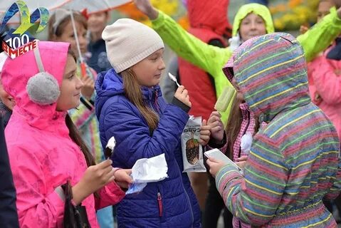 Программа сегодня мурманск