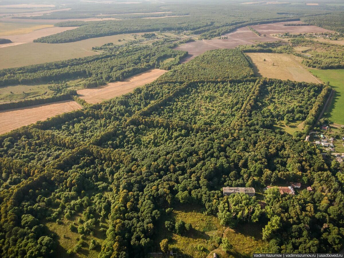 Орловская область село остров. Поля орловской области. остров орловская область. лужковский лес. день леса в орловской области.