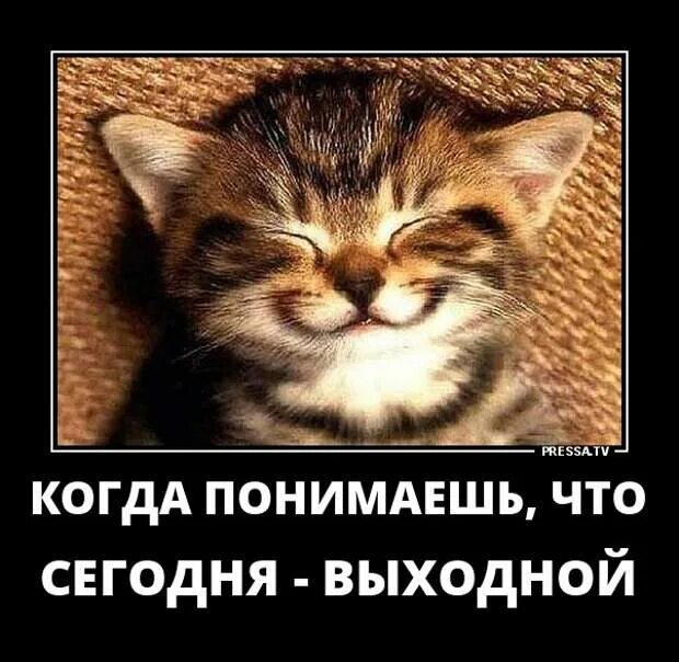 Точно выходной. Ура суббота не надо на работу. Сегодня выходной уменч. Точно выходной. Боже помоги мне.