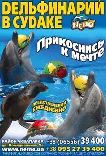 Дельфинарий курортное расписание