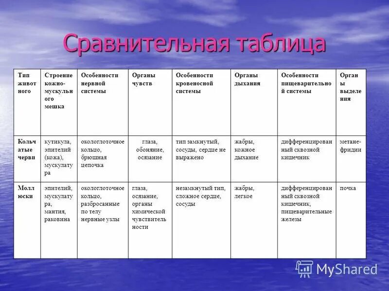 Стр сравнить. Сравнительная характеристика червей таблица 7 класс биология. биология 7 класс моллюски и кольчатые черви. строение кольчатых червей таблица. сравнительная характеристика типов червей 7 класс.