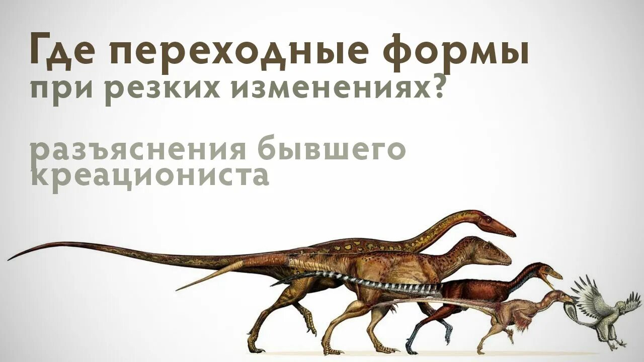 Динозавры развитие. Эволюция динозавров. Динозавры предки птиц. Динозавры эволюционировали. Птицы потомки динозавров.