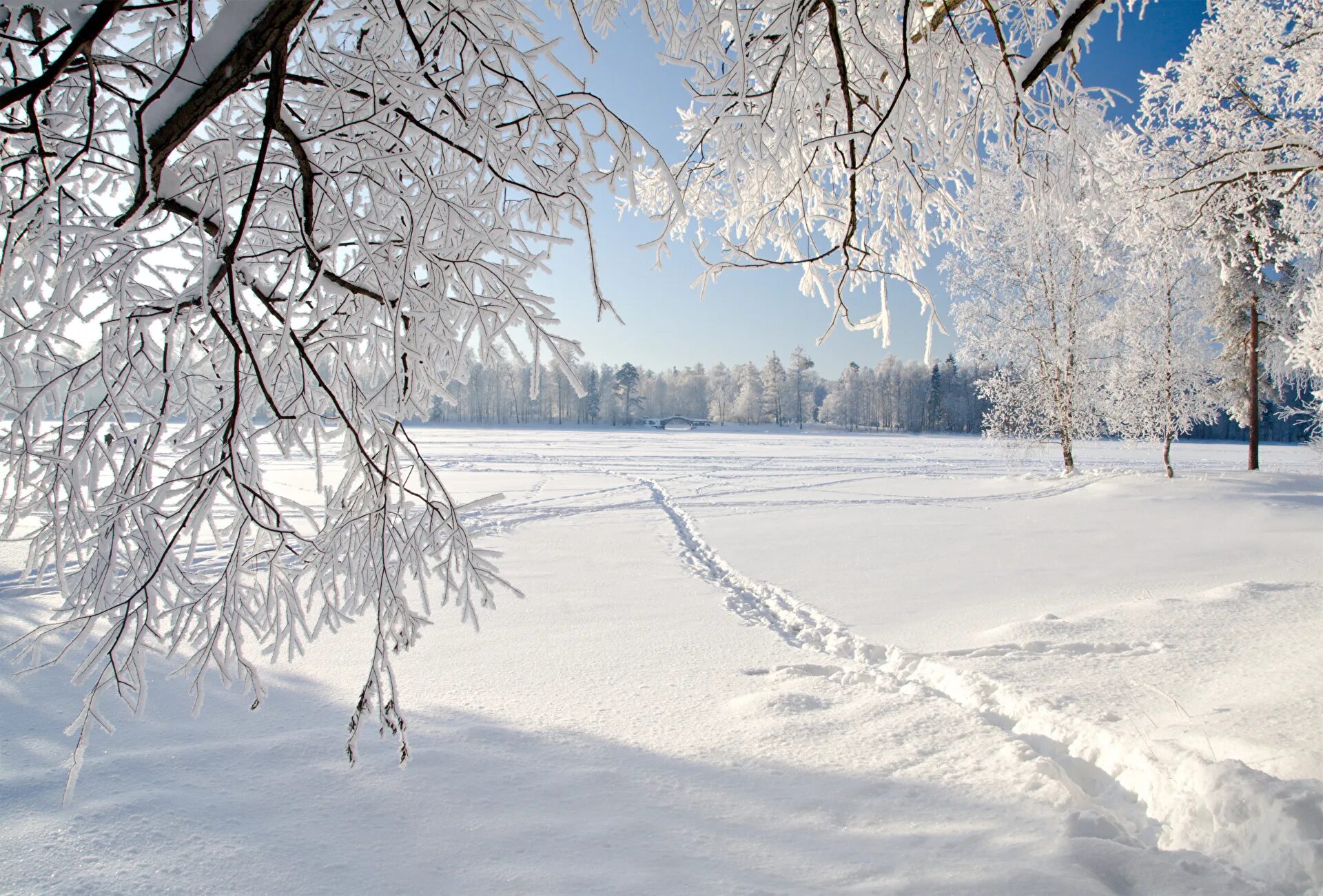 Снег картинки