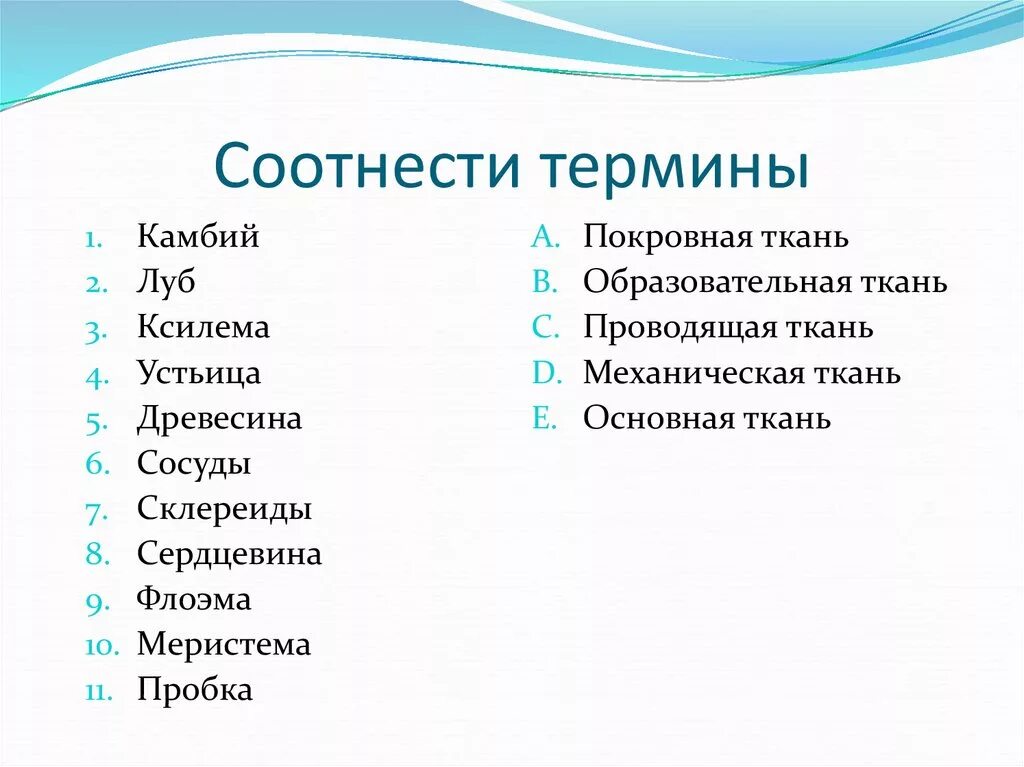 Термины по теме ткани