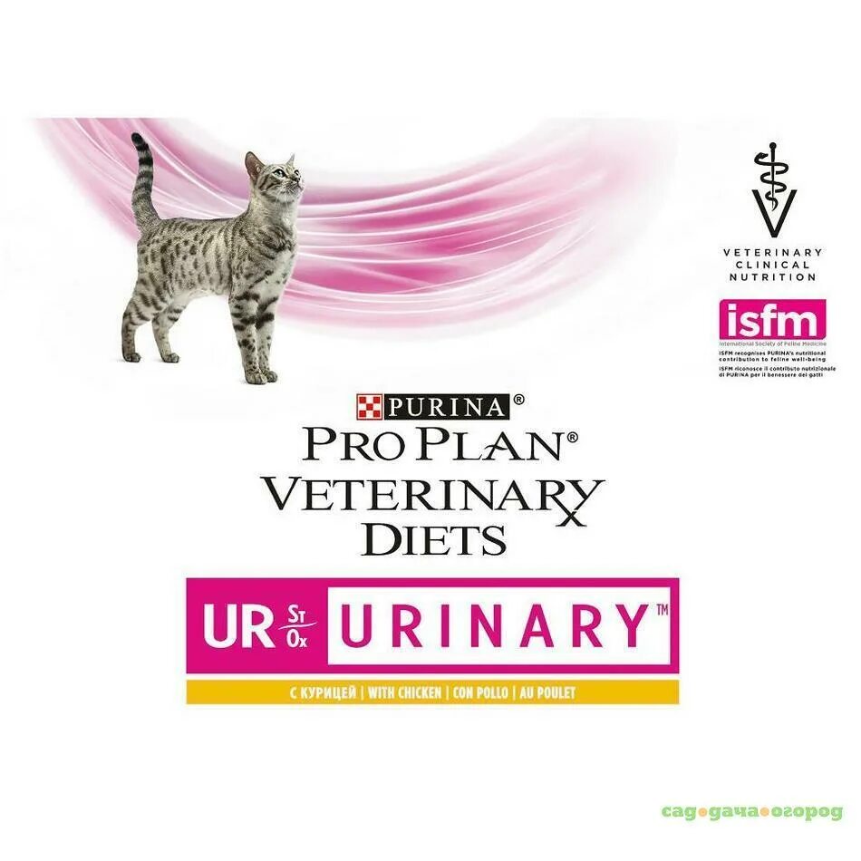 Pro Plan Veterinary Diets Urinary для кошек влажный. Пауч Уринари для кошек Пурина. Pro Plan Veterinary Diets ur Urinary. Purina Pro Plan Veterinary Diets для кошек. Purina pro plan ur