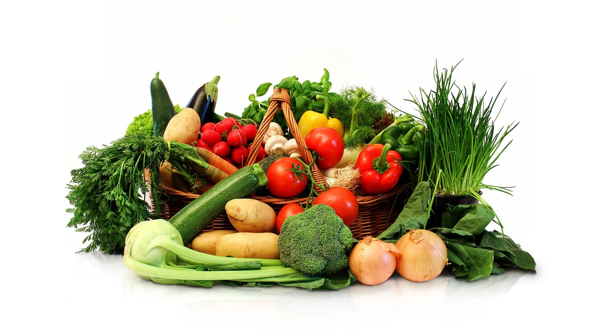 Fresh food