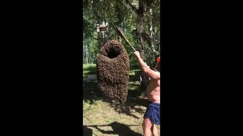 Огромный шок