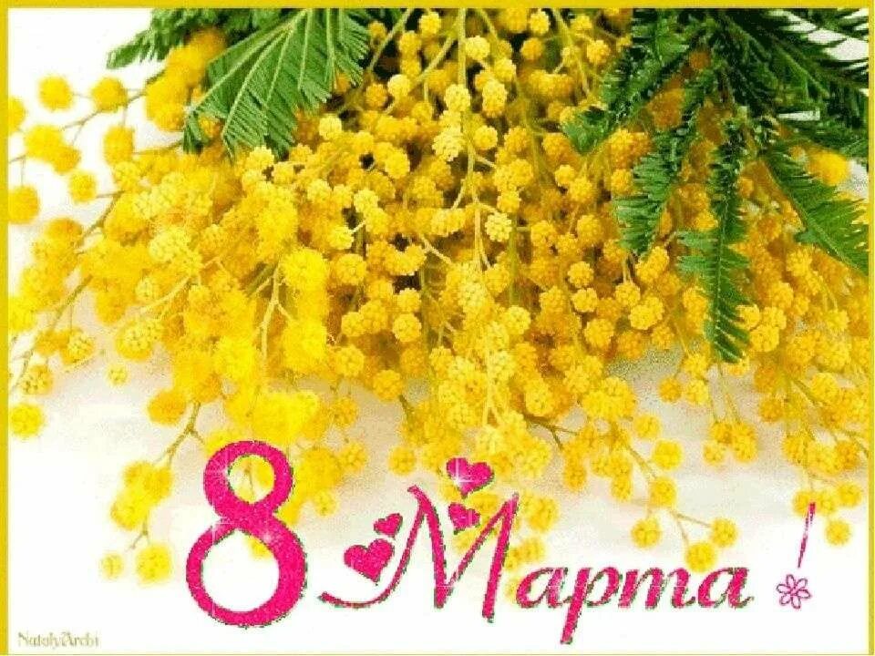 Подарю мимозу маме