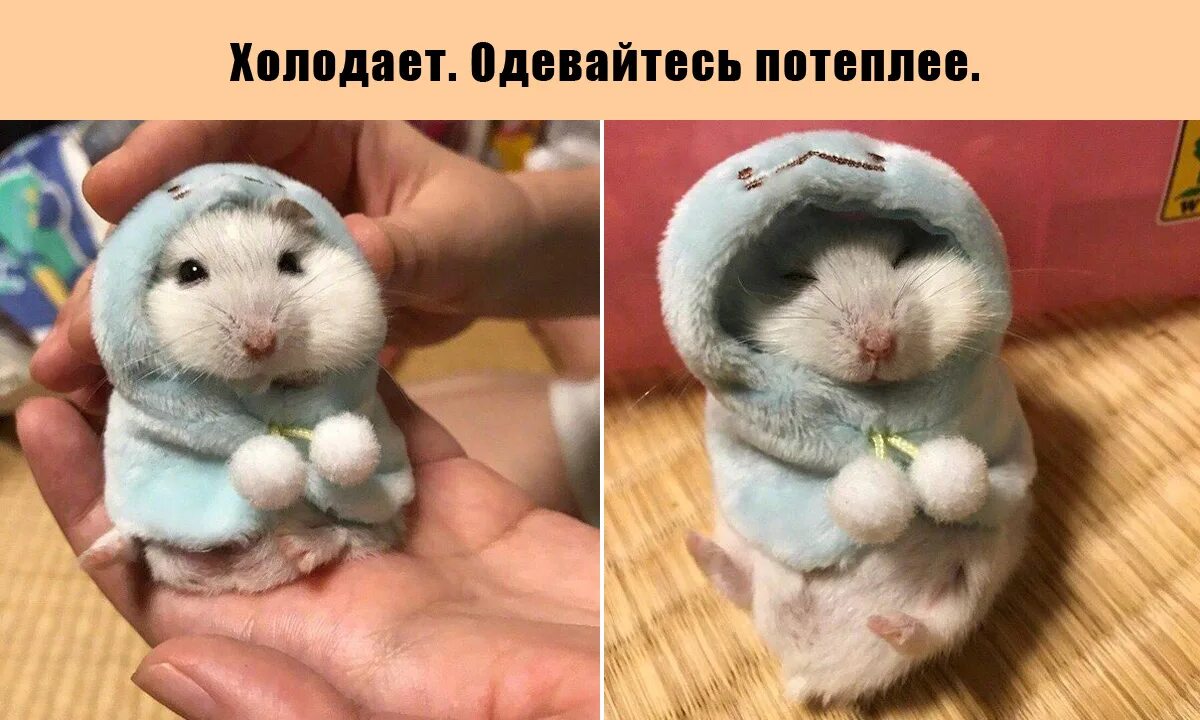 Что нибудь потеплее